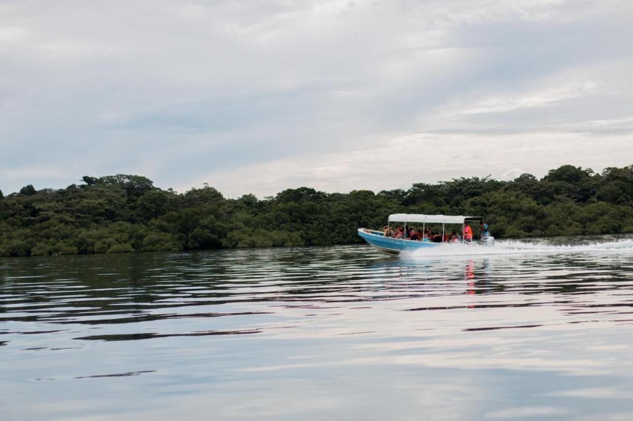 Playa Tortuga Hotel And Beach Resort Bocas Town Ngoại thất bức ảnh