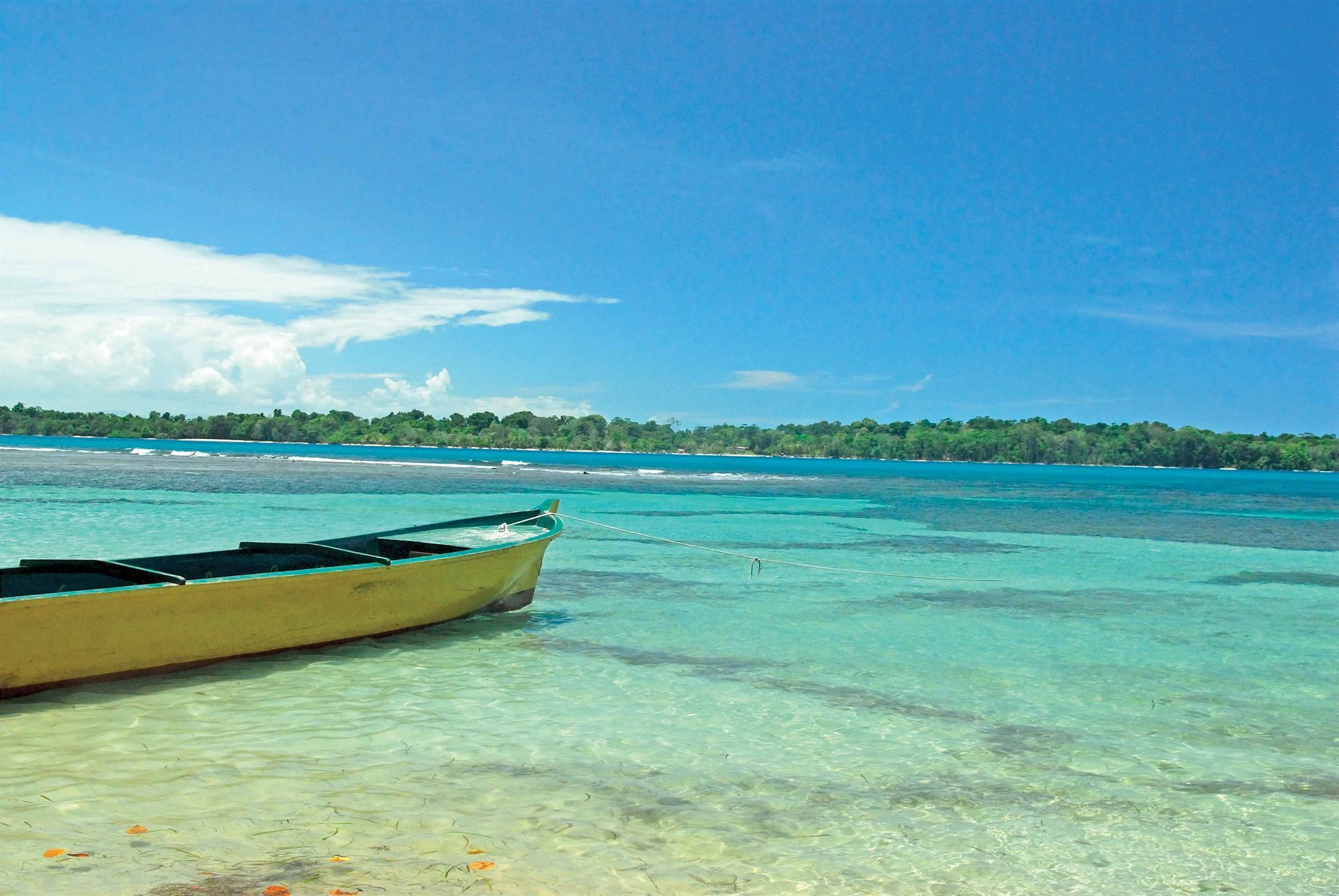 Playa Tortuga Hotel And Beach Resort Bocas Town Ngoại thất bức ảnh